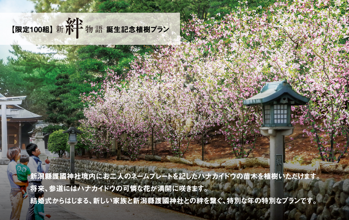 限定100組・新絆物語誕生記念植樹プラン