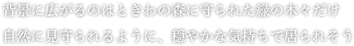 背景に広がるのはときわの森に守られた緑の木々だけ 自然に見守られるように、穏やかな気持ちで居られそう