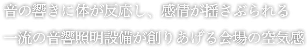 音の響きに体が反応し、感情が揺さぶられる 一流の音響照明設備が創りあげる会場の空気感