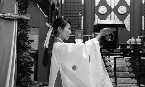 新潟縣護國神社で祈願した「お箸」をもれなく差し上げます。